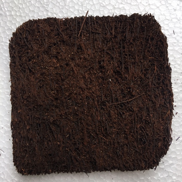 Dớn bảng trồng lan KT 20x20x3cm