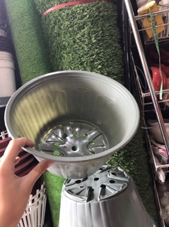 Combo 50  Chậu trồng cây 28*16