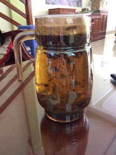 Trà sâm dứa