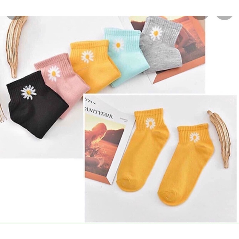 SET 5 ĐÔI VỚ HOA CÚC DẦY ĐẸP