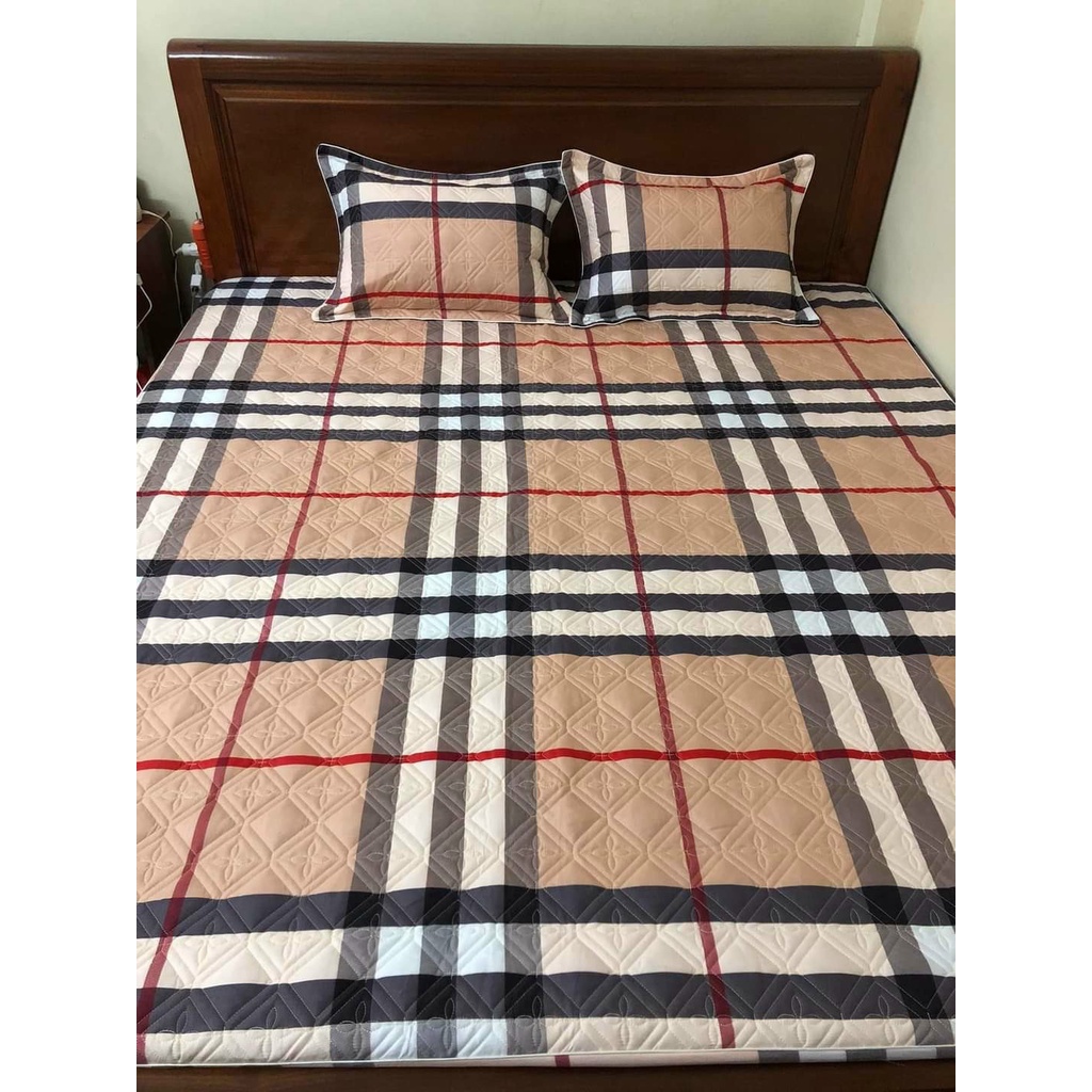 Ga giường và 2 vỏ gối cotton poly, ga giường trần bông xuất khẩu cao cấp mềm mịn thoáng mát đủ kích thước m6 m8 2m2