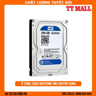 Ổ cứng 250G W.D tím chuyên dụng cho camera, máy tính để bàn - Hàng chính hãng bảo hành 2 năm
