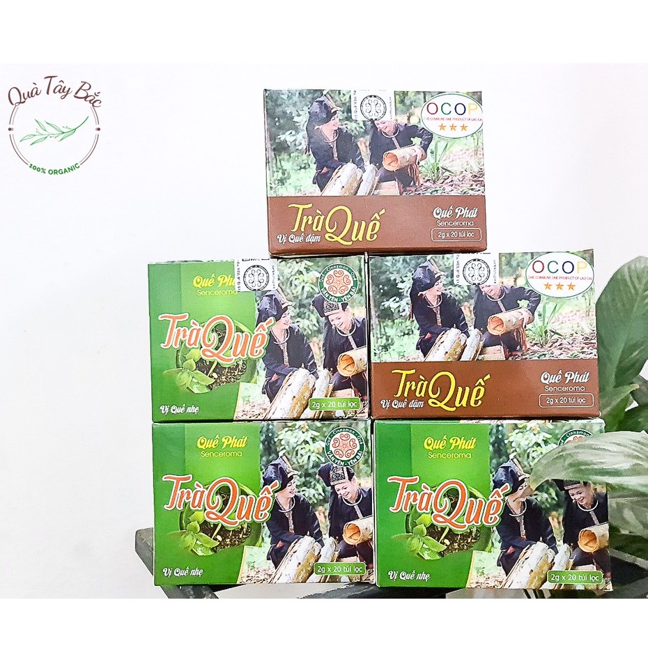 Trà quế túi lọc đặc sản Văn Yên - Yên Bái TỰ NHIÊN - NGUYÊN CHẤT hộp 20 túi lọc