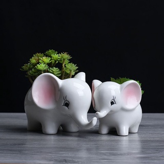 Chậu trồng cây sen đá xương rồng cây mini hình voi xinh để bàn văn phòng