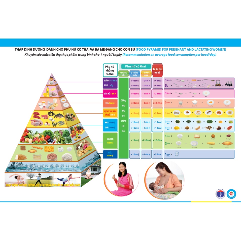 THÁP DINH DƯỠNG DÀNH CHO PHỤ NỮ CÓ THAI VÀ BÀ MẸ ĐANG CHO CON BÚ Formex 5ly kích thước a3