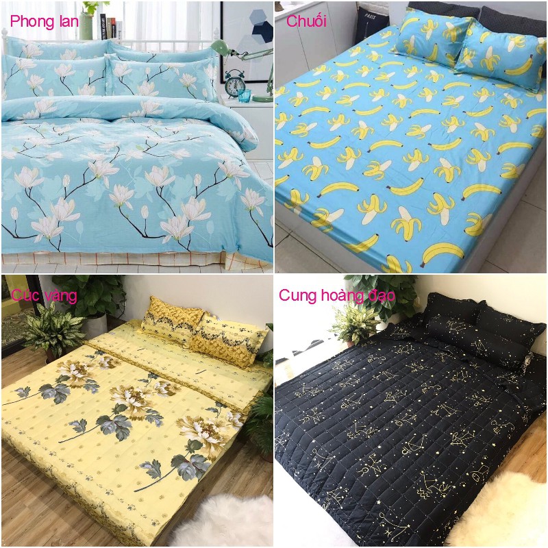 Bộ vỏ chăn ga gối poly cotton trong nước (tất cả các mẫu) - drap trải giường