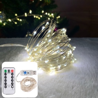 Đèn Đom Đóm Chớp Nháy 10m (Cổng USB & Remote)