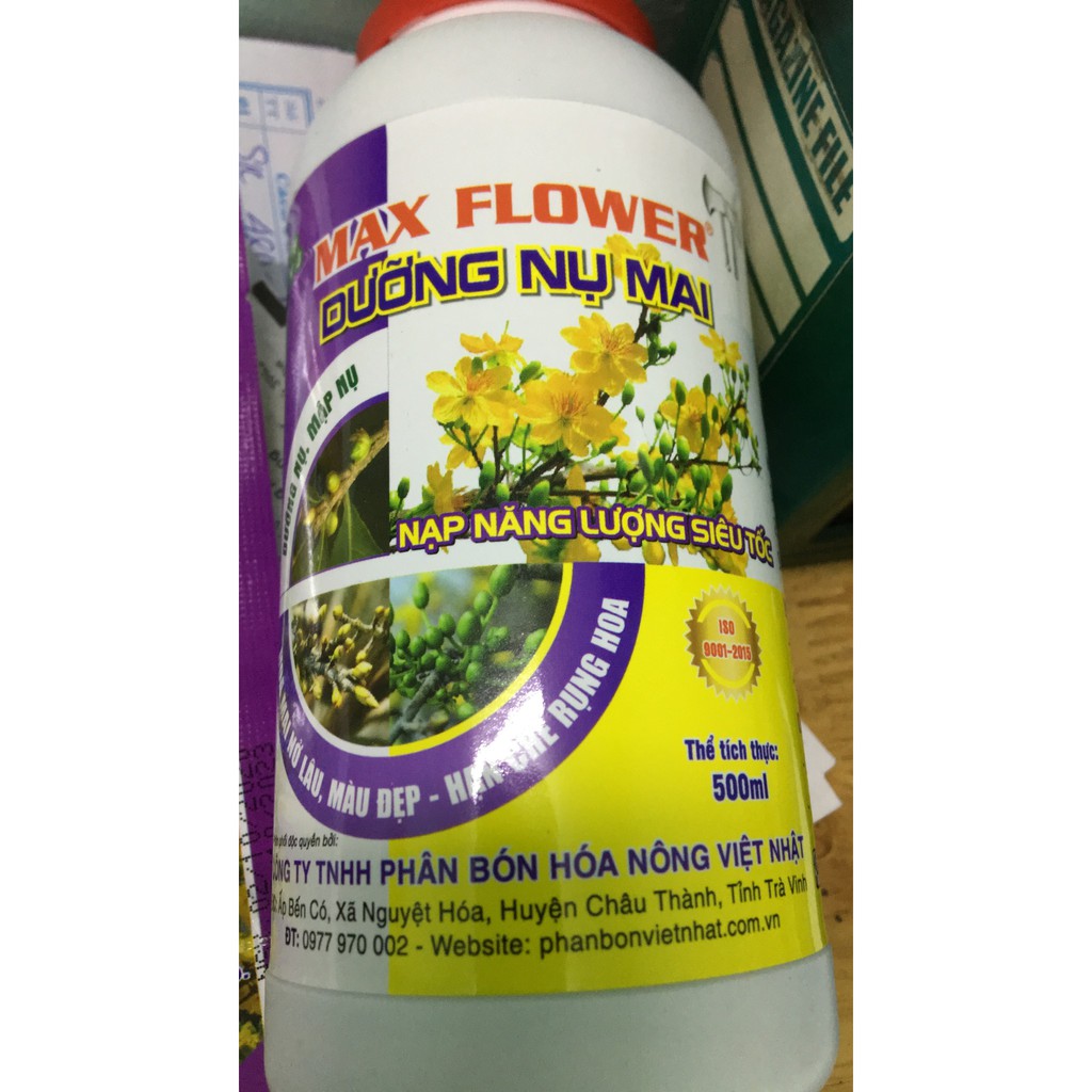 Chế phẩm dưỡng Nụ Mai lọ 500ml