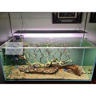ĐÈN LED CAO CẤP FLAT ONE+ 90cm (BẢN BW)