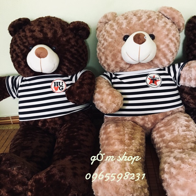 Teddy cao cấp socola m2. ( ảnh thật)