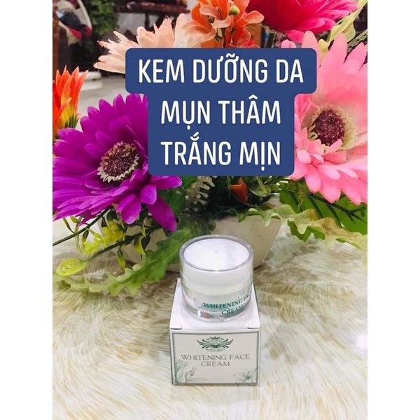 Combo Beauty queen 4 món 80k