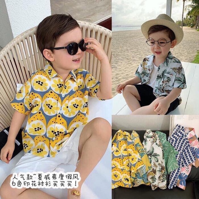 Áo sơ mi cây dừa