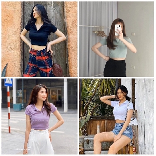 Áo croptop Cổ Trụ Tay Ngắn PLO dáng ôm Ulzzang