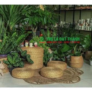 (Hàng dày không lún) Đôn bèo, đôn lục bình để ngồi, đôn decor, ghế trang trí, ghế tròn trang điểm