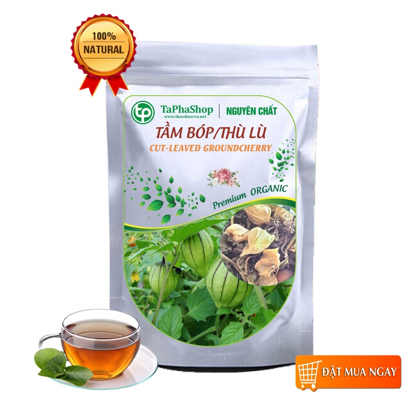 Cây tầm bóp  sấy khô - Thảo dược Tấn Phát