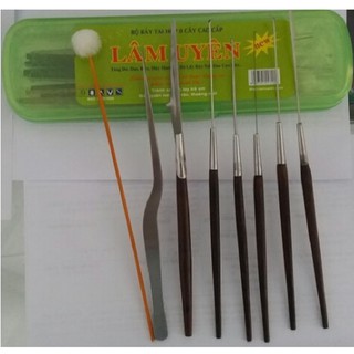 Bộ lấy ráy tai Lâm Uyên (8 món)