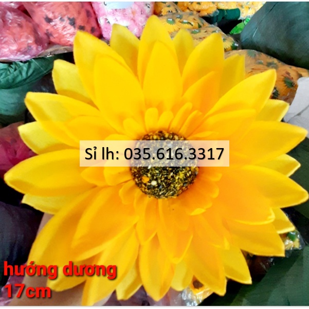 Sỉ 1 đôi hoa múa cài tay mầm non, tiểu học hoa cúc vàng 17cm