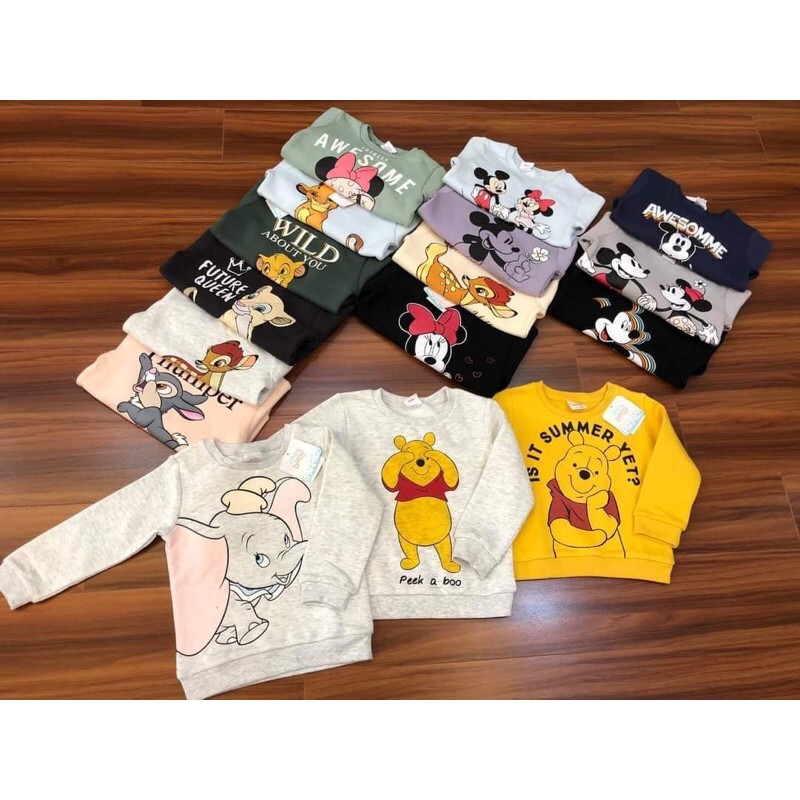 Áo nỉ bông Disey dư xịn