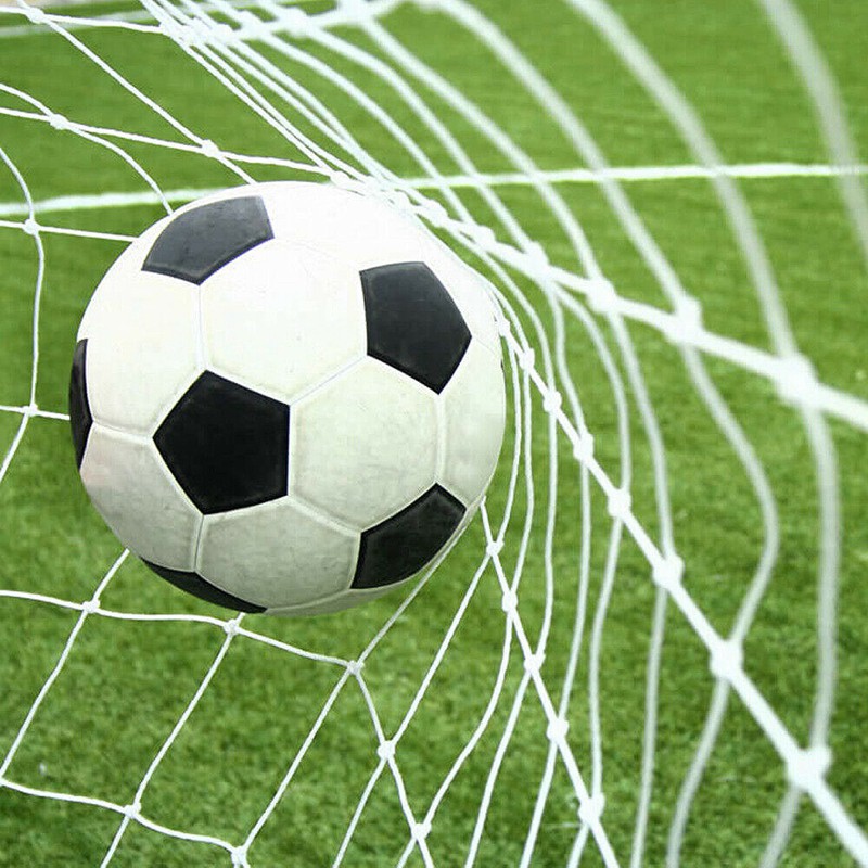 24X8FT Full Size Soccer Goal Net Sports Football Post Netting Training Backyard