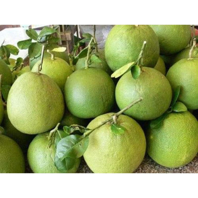 Bưởi da xanh mỏng vỏ bao ăn