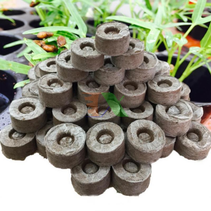 Viên nén xơ dừa, hộp 100 viên, ươm hạt giống, trồng cây, ươm hạt, ươm cây giống, trồng dâu tây, nhiều số lượng
