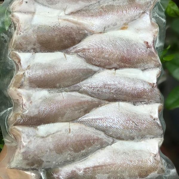 Giá Sỉ - Cá Đù Nguyên Con - Q12