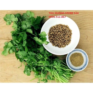 [Chất Lượng Cao] 20G Hạt Giống Rau Mùi (Ngò Rí) Chịu Nhiệt