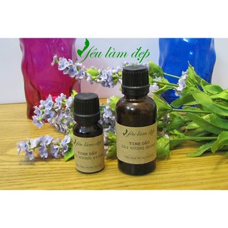 Tinh dầu Oải hương Spike (Lavender spike)