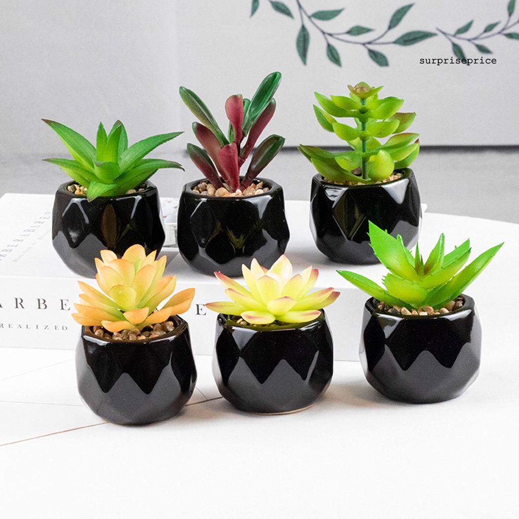 Chậu cây bonsai giả bằng PVC có thể tái sử dụng trang trí nhà cửa