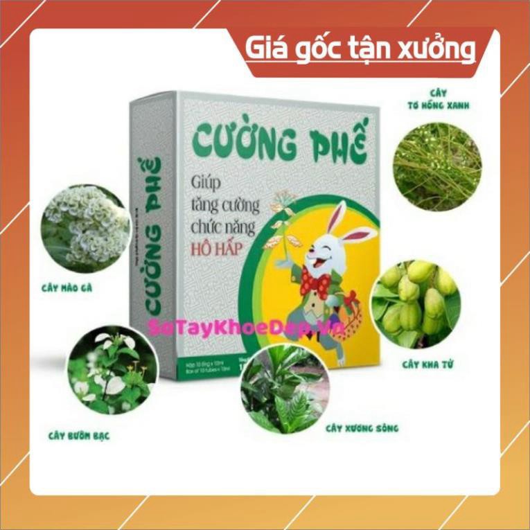 CƯỜNG PHẾ Tăng Cường Hô Hấp(10 ống)