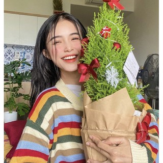 [GIAO TRONG NGÀY] Cây thông noel (tùng thơm & sơn tùng) trang trí giáng sinh tặng đèn led, kèm phụ kiện (ảnh thật)