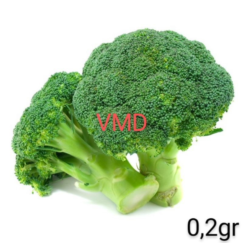 Hạt giống Bông Cải Xanh