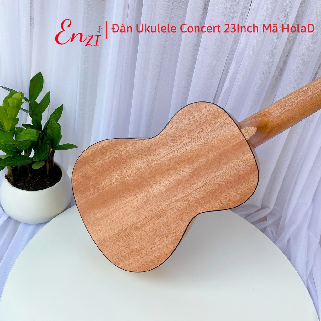 Đàn ukulele concert mã HolaD Enzi họa tiết nhí viền đen thiết kế khóa đúc cao cấp cho bạn mới bắt đầu tập chơi