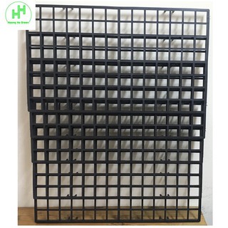 5 Khay, Vỉ Mô Hoa Lan 112 Lỗ