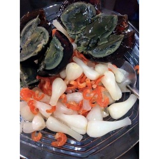 CỦ KIỆU HUẾ NGÂM ĐƯỜNG