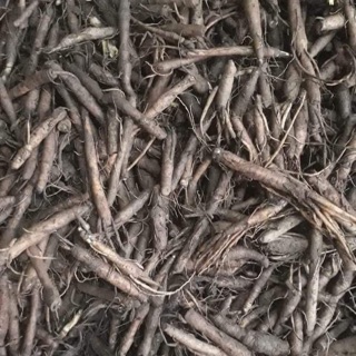 Sâm cau đen sâm Tiên Mao rừng 1kg