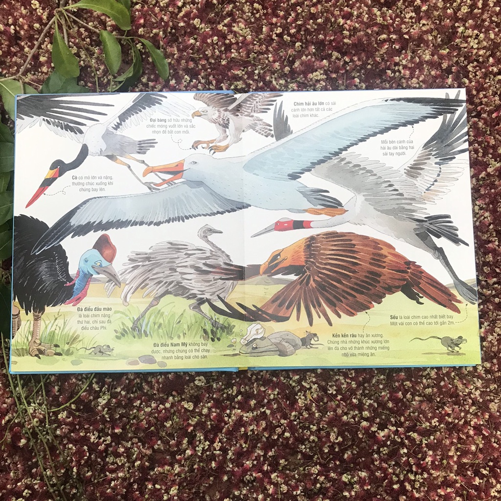 Sách-Sách tương tác - Big book - Cuốn sách khổng lồ về các loài động vật khổng lồ