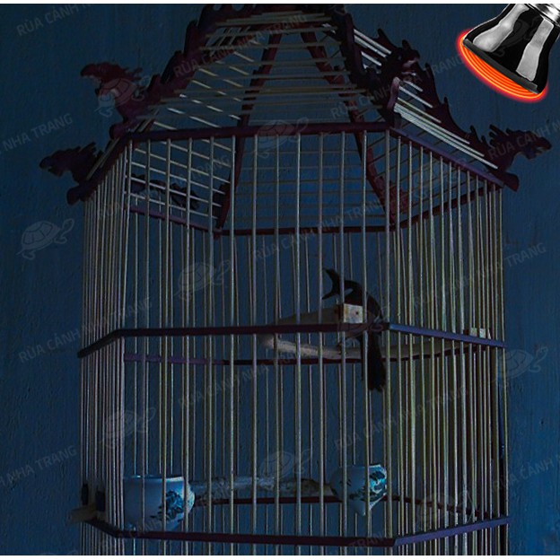 Đèn sưởi ban đêm cho thú cưng, chó, mèo, thỏ, chim v.v...