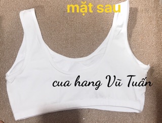 áo lá bản học sinh cotton