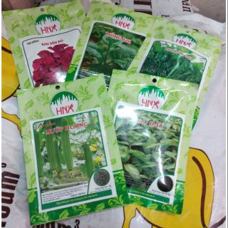 Combo 5 gói hạt giống rau theo mùa