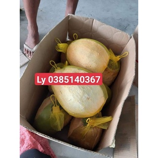Dừa Sáp Đặc sản Sản Cầu Kè (Loại Sệt,Lỡ)