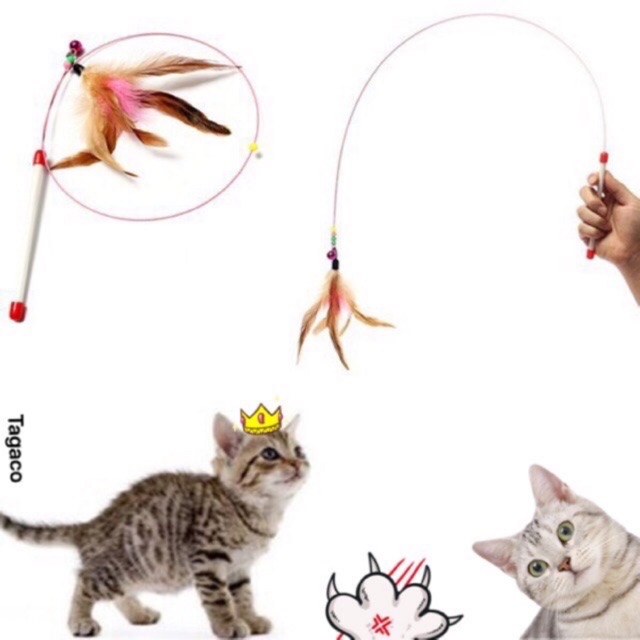 🍒ĐỒ CHƠI CHO MÈO-CẦN CÂU MÈO MEO MEOOOO!!!