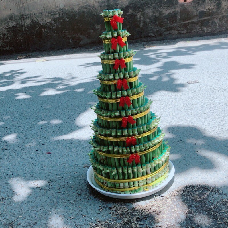 Trúc Phát Tài 9 Tầng Kèm Dĩa