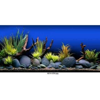 Tranh 3D bể cá (kt 60x40;80x50;90x45;100x50;120x,60;150x60cm)