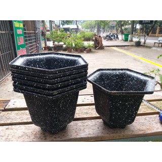 5 chậu nhựa giả đá lục giác 20x12...