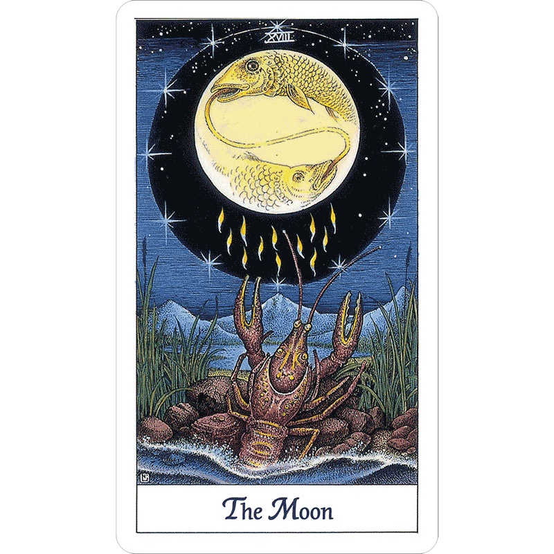 Bộ Bài Cosmic Tarot (Mystic House Tarot Shop) - Bài Gốc Authentic Chính Hãng 100%