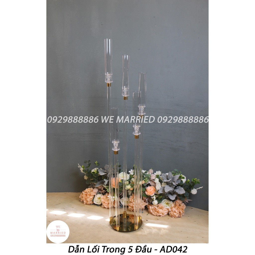 Dẫn Lối Mika Trong 5 Đầu - AD042