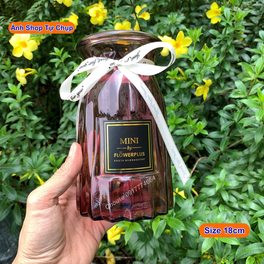Bình hoa thuỷ tinh múi khế cột nơ trang trí nhà cửa , lọ hoa decor phòng khách phòng ngủ để bàn làm việc