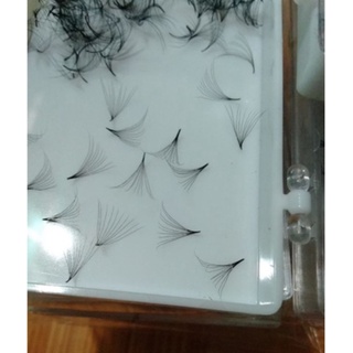 Mi fan 10d, dày 0.05, cong c - d, hộp 1000fan - dụng cụ nối mi - xưởng mi fan