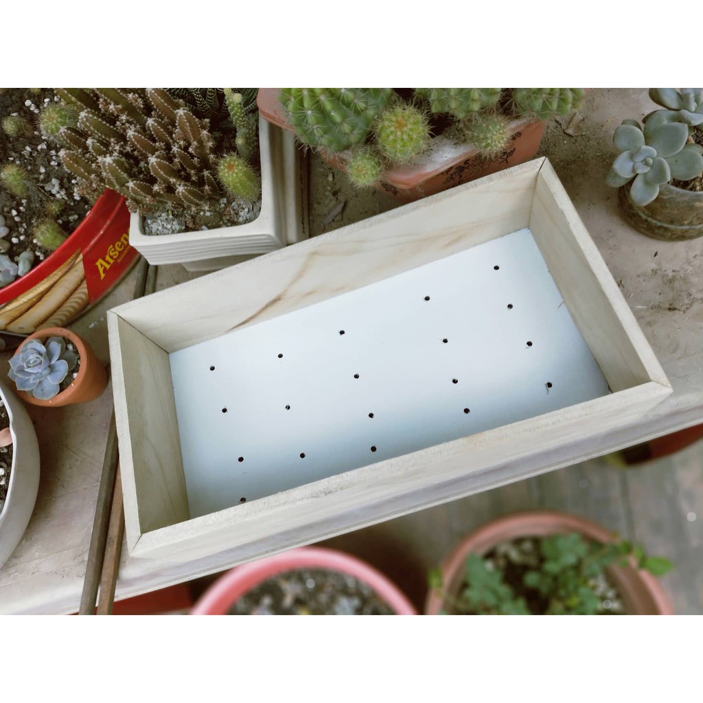 Chậu gỗ trồng sen đá , xương rồng  27x12x7 và 20x12x6